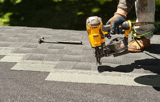 Best Roof Gutter Cleaning  in Treasure Island, FL