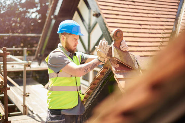 Best Flat Roof Repair Services  in Treasure Island, FL